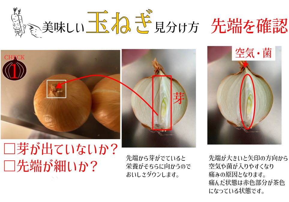 たまねぎのカット図