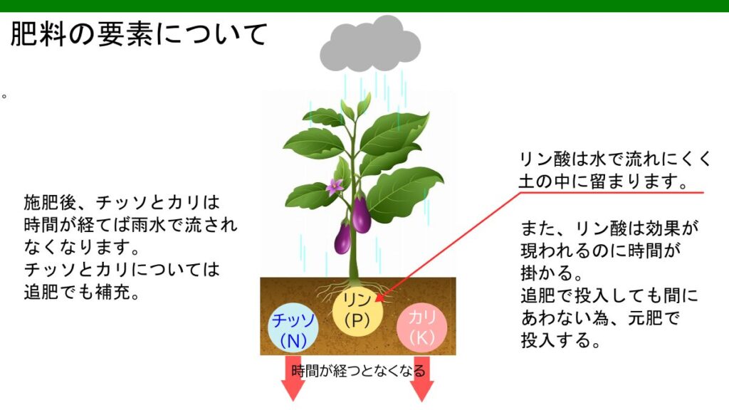 肥料の要素特徴