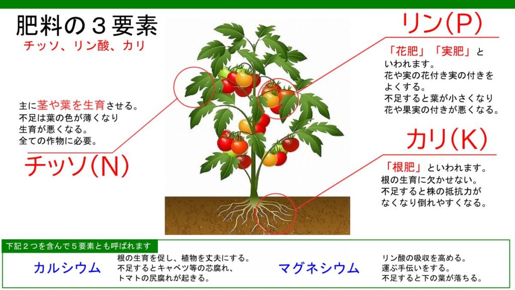 肥料の3要素説明