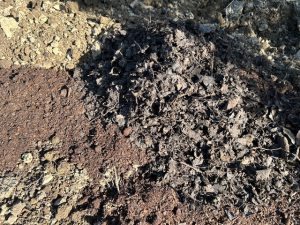 腐葉土と堆肥混ぜ合わせ前