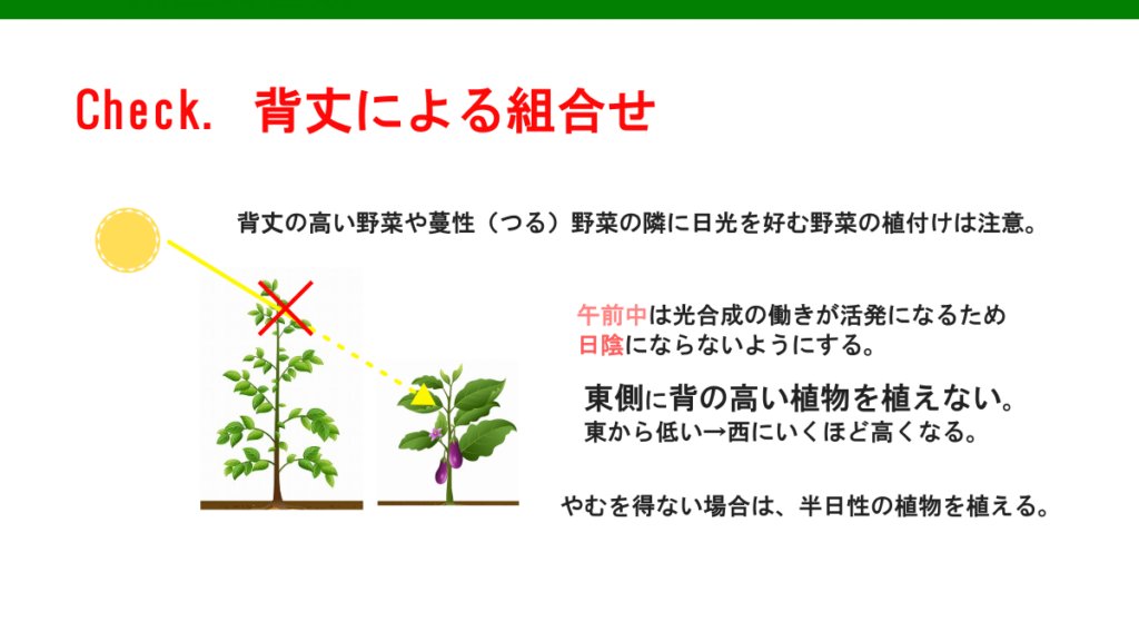 畝の野菜の組み合わせ　日当たりは注意