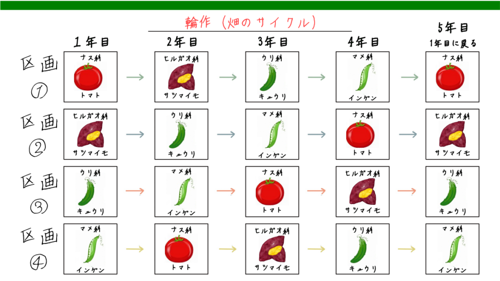 輪作の参考例