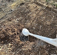 苗を植える穴を掘り