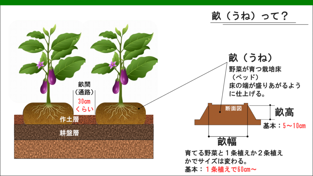 畝づくり図解