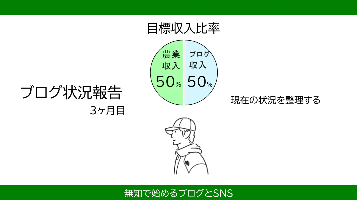 家庭菜園ブログを始めて3ヶ月　結果