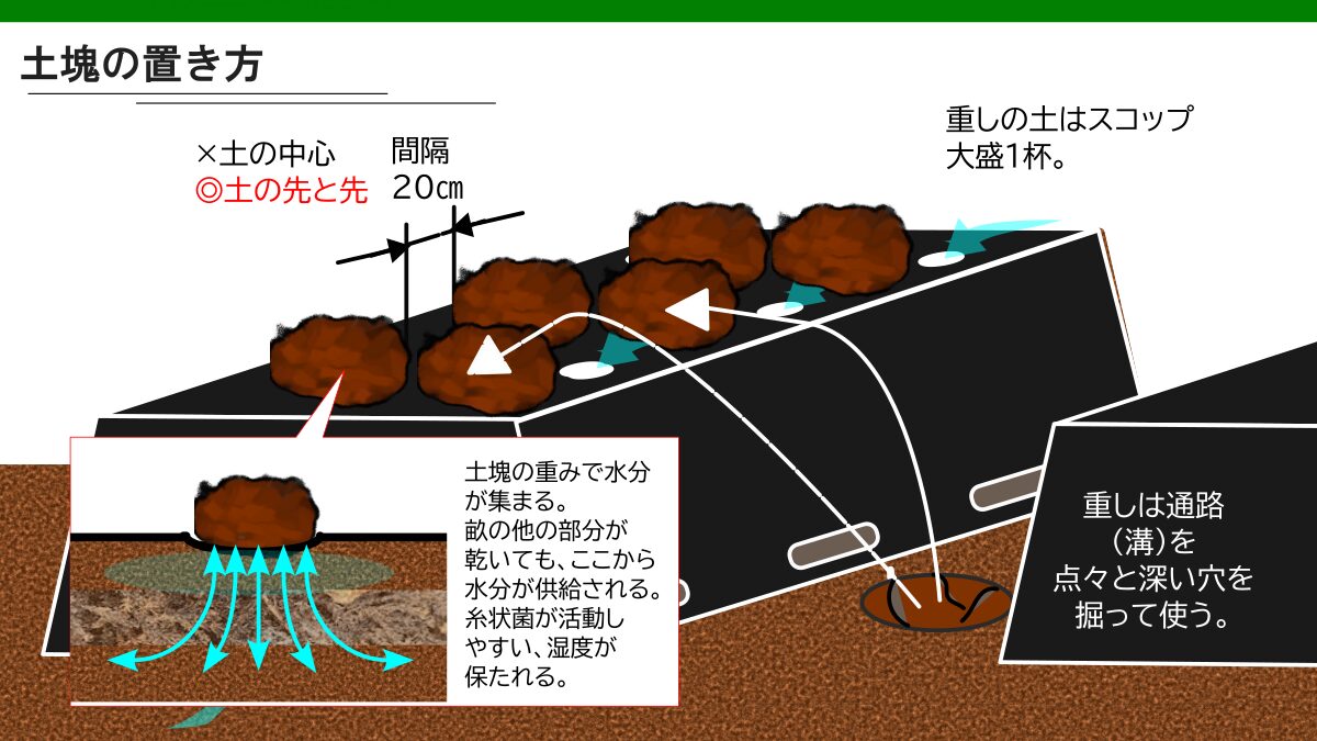 菌ちゃん　畝　マルチの上に土塊を置く説明