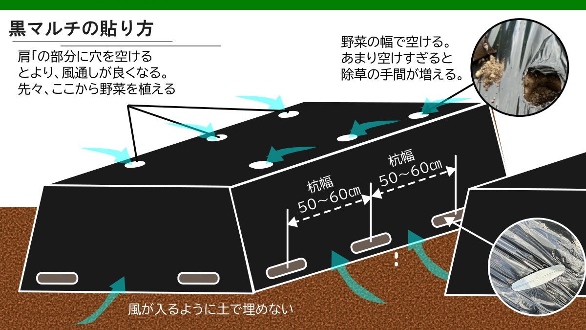 黒マルチの張り方