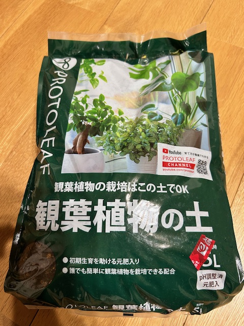 観葉植物の土 表面