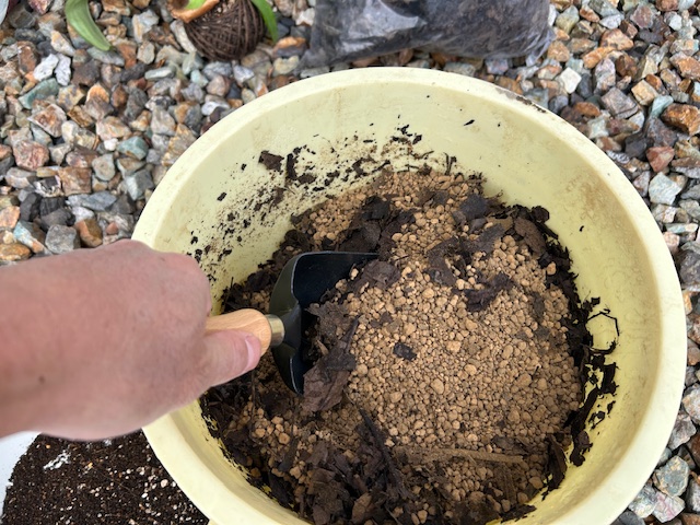 用土を混ぜる 赤玉 腐葉土