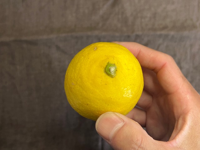 レモンのヘタ
