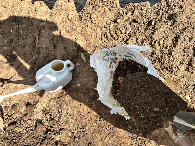 有機物の上に土を被せる
菌ちゃん農法