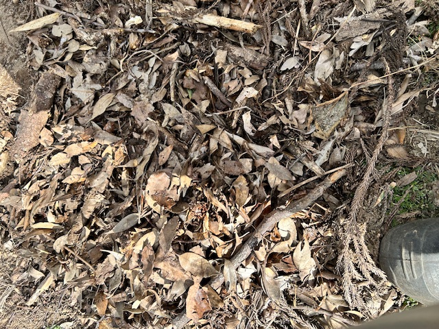 有機物