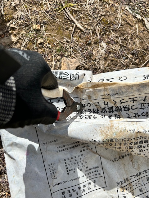 菌ちゃん 肥料袋の底に穴をあける