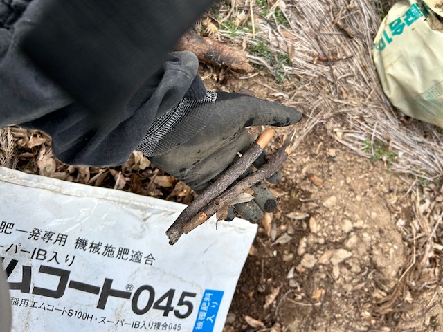 小枝