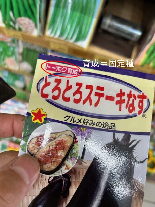 固定種の種 とーほく育成