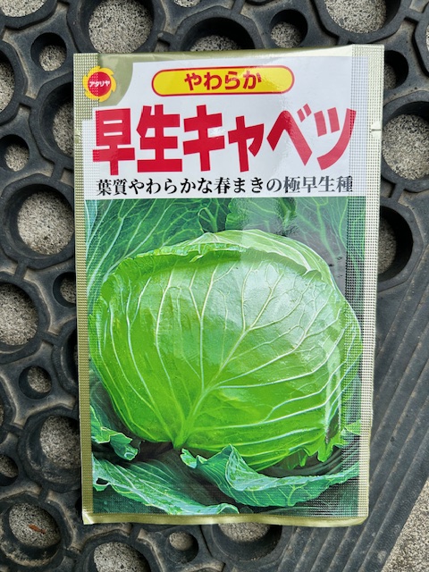 固定種の種 無機入
