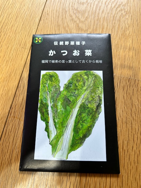 畑懐のタネ かつお菜