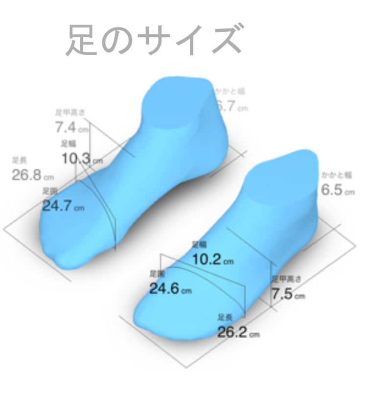 足のサイズ
