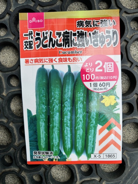 うどんこ病に強いキュウリの種袋