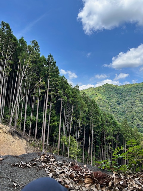 山で瞑想