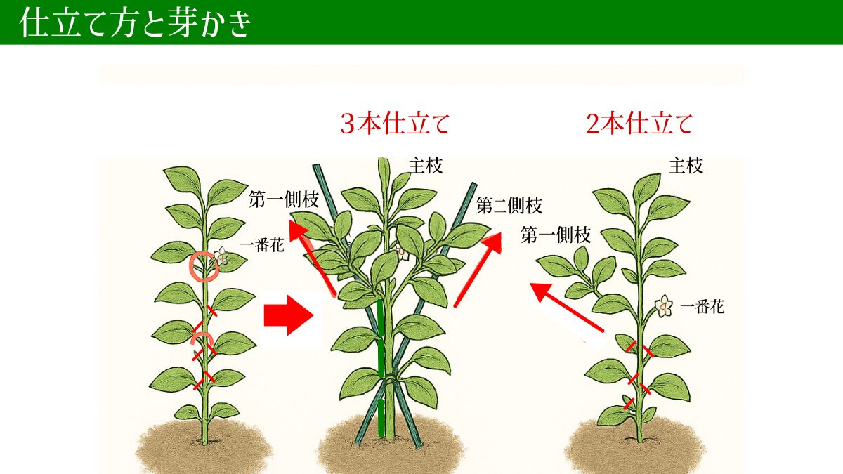 支柱立て