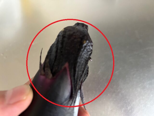 おいしいナス　見分け方　ヘタとトゲ