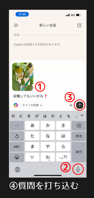 copilot質問入力