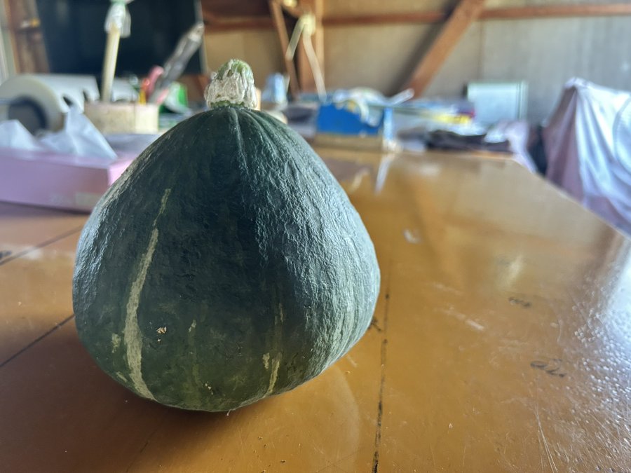 収穫後の完熟保管