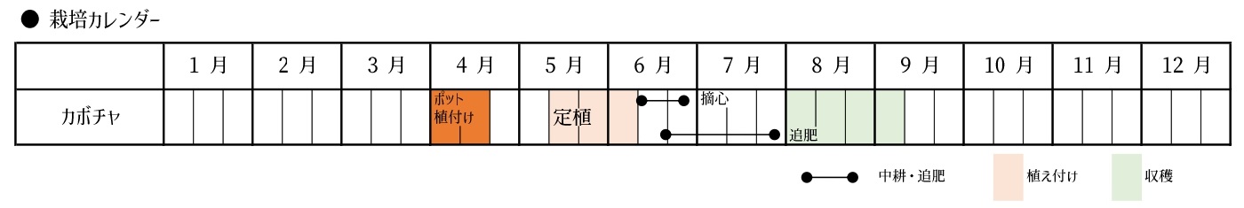 カボチャの栽培カレンダー