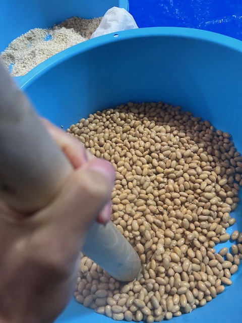 すりこぎで豆をつぶす