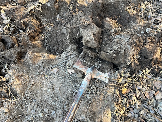 寒起こし　掘り返す