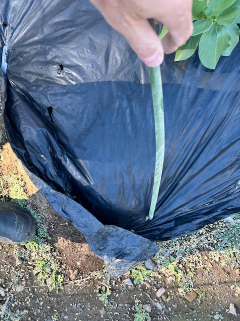 トンネル支柱を差し込む