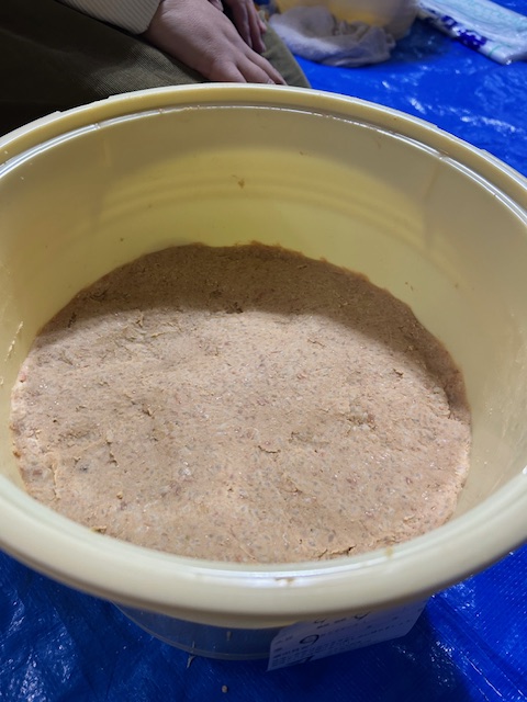 味噌 プラスチック桶