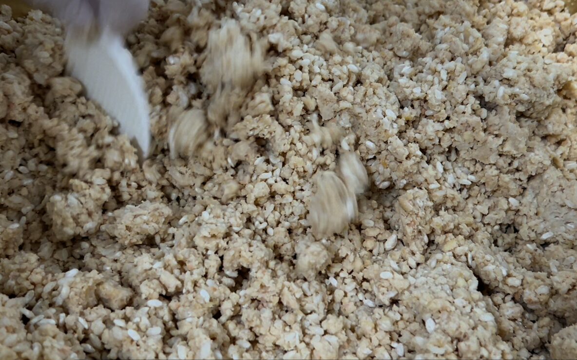 大豆と塩、麹を混ぜ合わせる