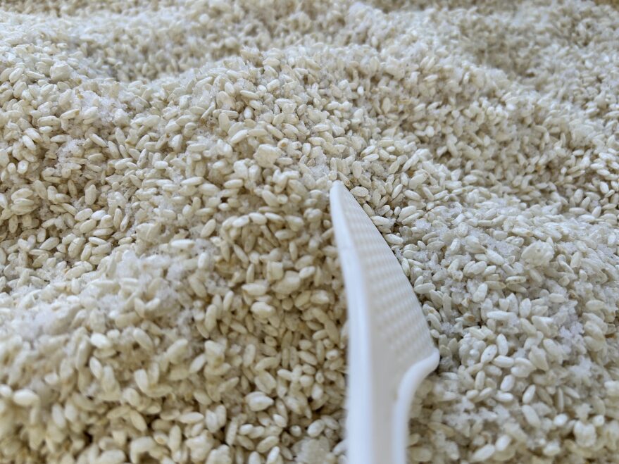 麹と塩を混ぜる1