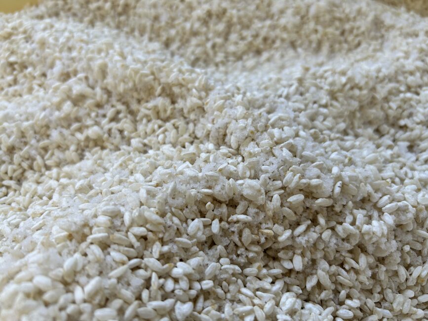 麹と塩を混ぜる2