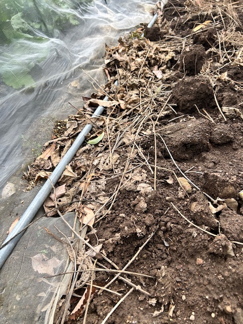 寒冷紗の隙間を固定する