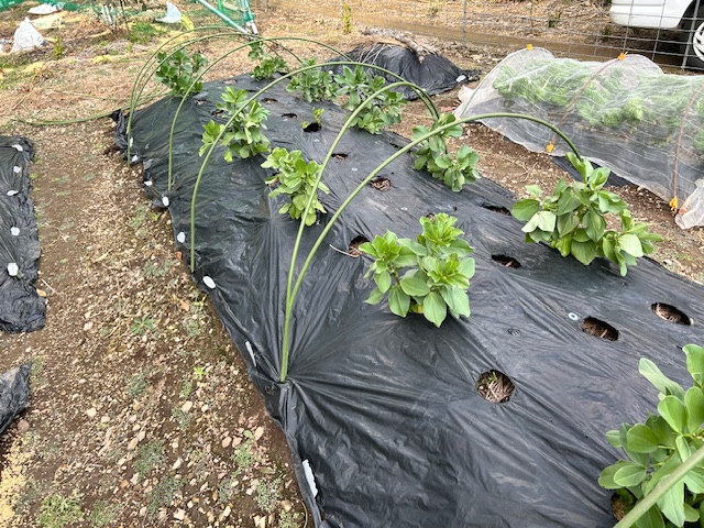 トンネル支柱の位置決め